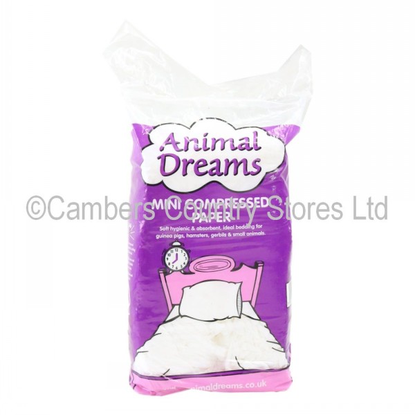 Animal dreams essay 06 image