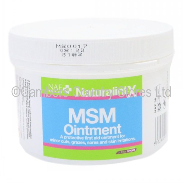 NAF NaturalintX MSM Ointment 250g | Cambers Country Store