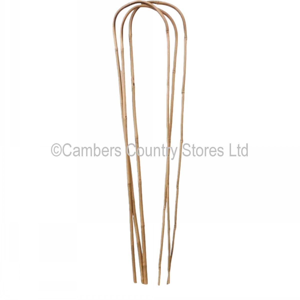 Bamboo Arch Loop Plant Support 5 Pack Cambers Country Store