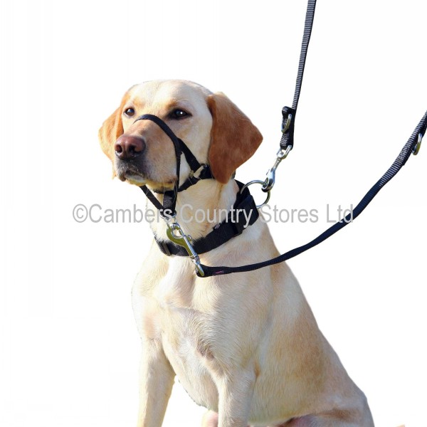 Trixie Top Trainer Training Harness Cambers Country Store