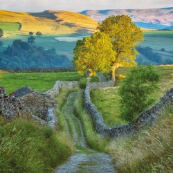 Abacus Cards Goat Scar Lane Yorkshire
