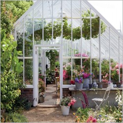Abacus Cards Summer Greenhouse