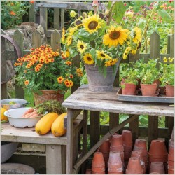 Abacus Cards Autumn Harvest