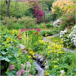 Abacus Cards Streamside Planting