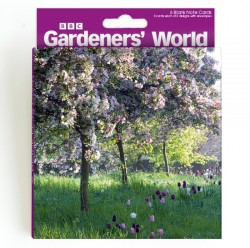 Abacus Cards 6 Pack Springtime Flowers