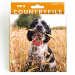 Abacus Cards 6 Pack Dogs