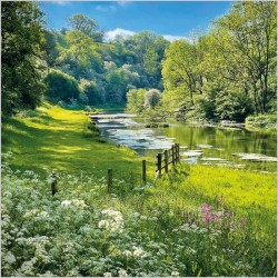 Abacus Cards River Lathkill