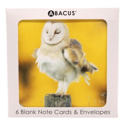 Abacus Cards 6 Pack Barn Owl
