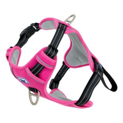Ancol Viva Exercise & Travel Dog Harness