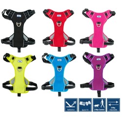 Ancol Viva Exercise & Travel Dog Harness