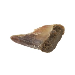 T Forrest Meat Filled Hoof Dog Treat