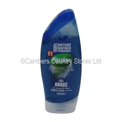 Radox Shower Gel 250ml Awake