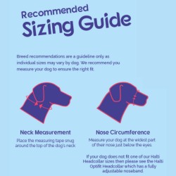 Halti No Pull Dog Headcollar