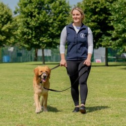 Halti No Pull Dog Headcollar