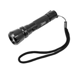 Clulite LED Pocket Torch