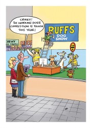 Country Cards Best In Show