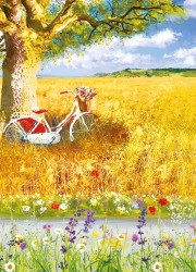 Country Cards Cornfield