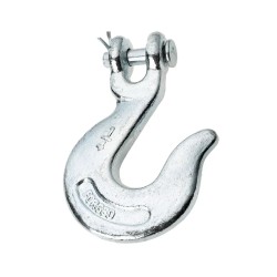 Eliza Tinsley Clevis Hook