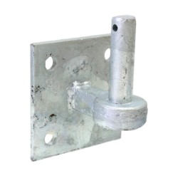 Eliza Tinsley Gate Hanger On Plate 3/4" Pin Galvanised