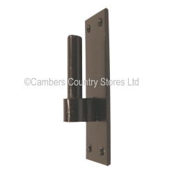 Eliza Tinsley Hook On Plate Oblong Black