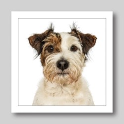 Gruff Pawtrait Greeting Card Patterdale Terrier