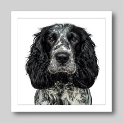 Gruff Pawtrait Greeting Card English Cocker Spaniel