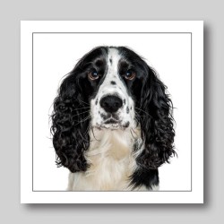Gruff Pawtrait Greeting Card Cocker Spaniel Black