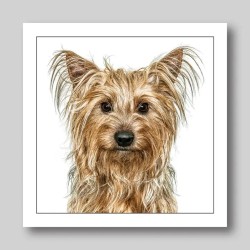 Gruff Pawtrait Greeting Card Yorkshire Terrier