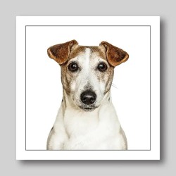 Gruff Pawtrait Greeting Card Jack Russell Terrier