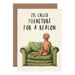 Bewilderbeest Greeting Card Furniture Dog