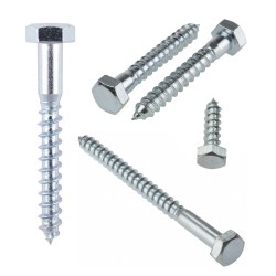 Coach Screws Hex Head ZP