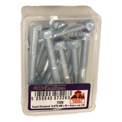Shearbolt M8 x 60mm 10.9TS 10 Pack