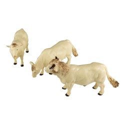 Britains Charlais Cows