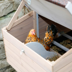 Kerbl Bonny Chicken Apartment With Garden