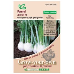 Kings Seeds Fennel Rondo F1