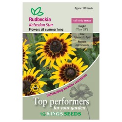 Kings Seeds Rudbeckia Hirta Kelvedon Star