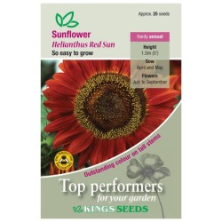 Kings Seeds Sunflower Red Sun