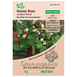 Kings Seeds Runner Bean Jackpot Mixed
