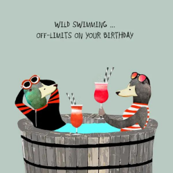 Sally Scaffardi Design Card Wild Swimming