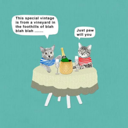 Sally Scaffardi Design Card Just Paw Will You