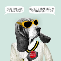 Sally Scaffardi Design Card Have You Seen The Dog Bowl