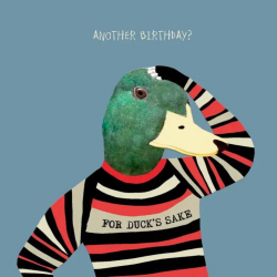 Sally Scaffardi Design Card For Ducks Sake