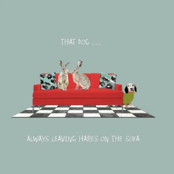 Sally Scaffardi Design Card Leaving Hares On The Sofa