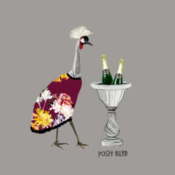 Sally Scaffardi Design Card Posh Bird