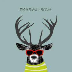 Sally Scaffardi Design Card Staggeringly Handsome