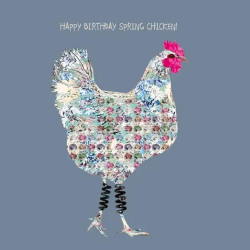 Sally Scaffardi Design Card Birthday Spring Chicken