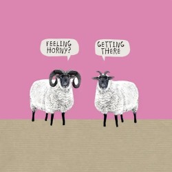 Sally Scaffardi Design Card Feeling Horny?