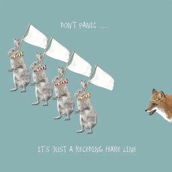 Sally Scaffardi Design Card Receding Hare Line