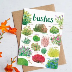 Sarah Edmonds Greeting Card Bushes
