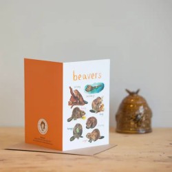 Sarah Edmonds Greeting Card Beavers